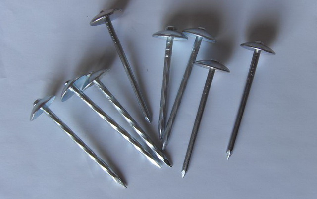 Galvanized roofing <BR> nail with umbrella head